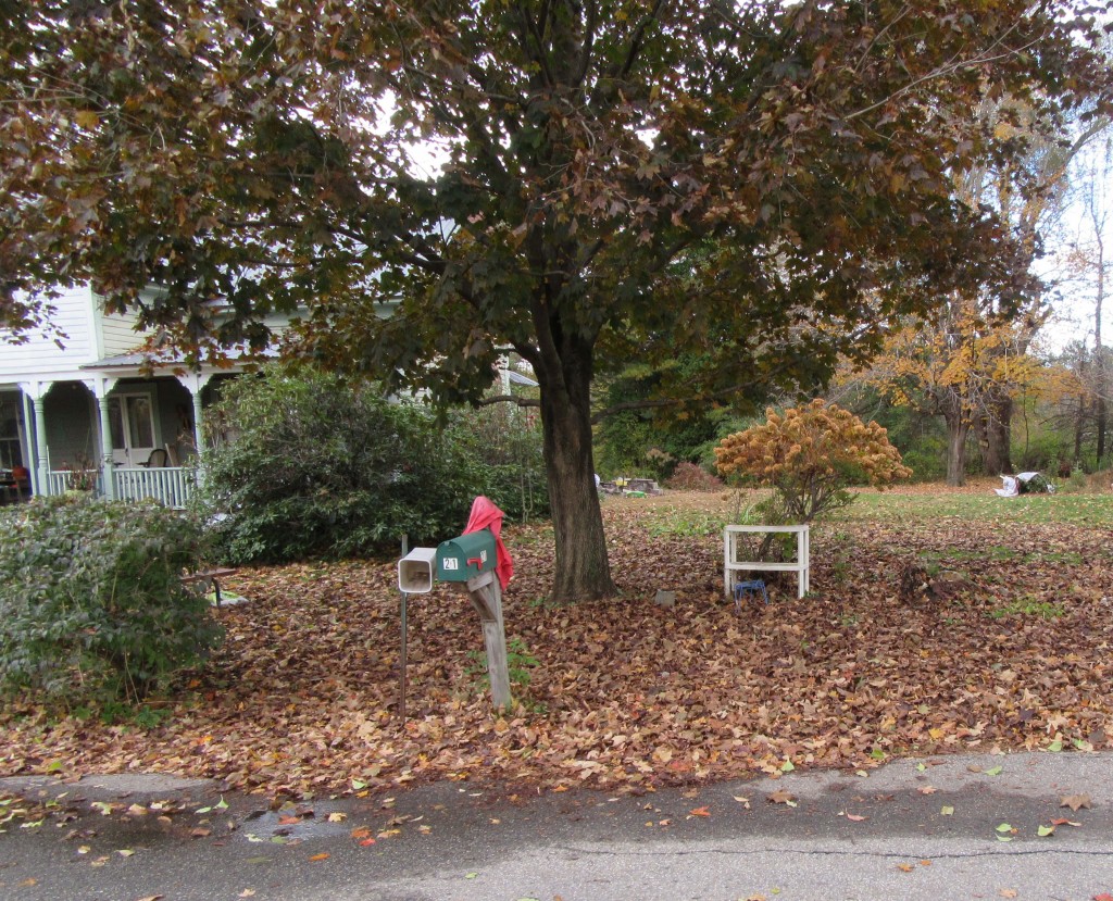 Landscaping Service Concord NH Spring Clean Up