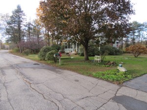 Leaf Removal Concord NH