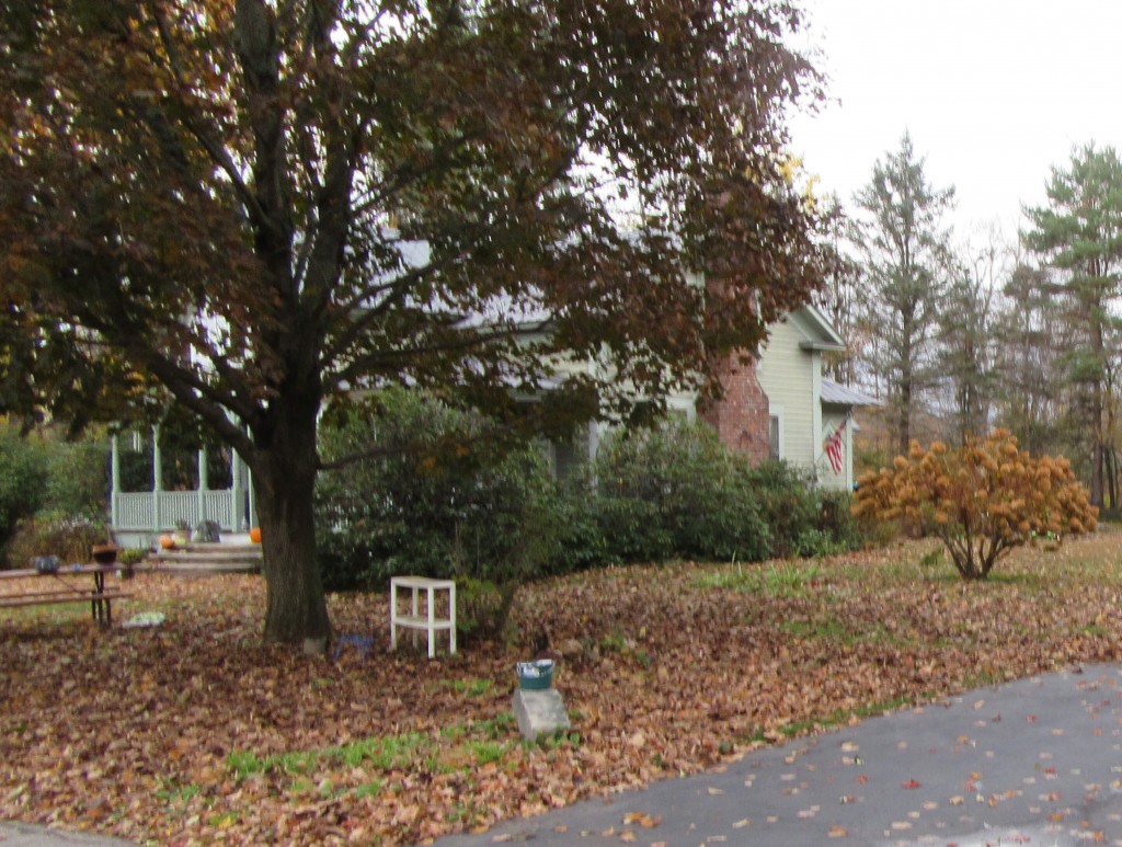 Concord NH Spring Clean Up