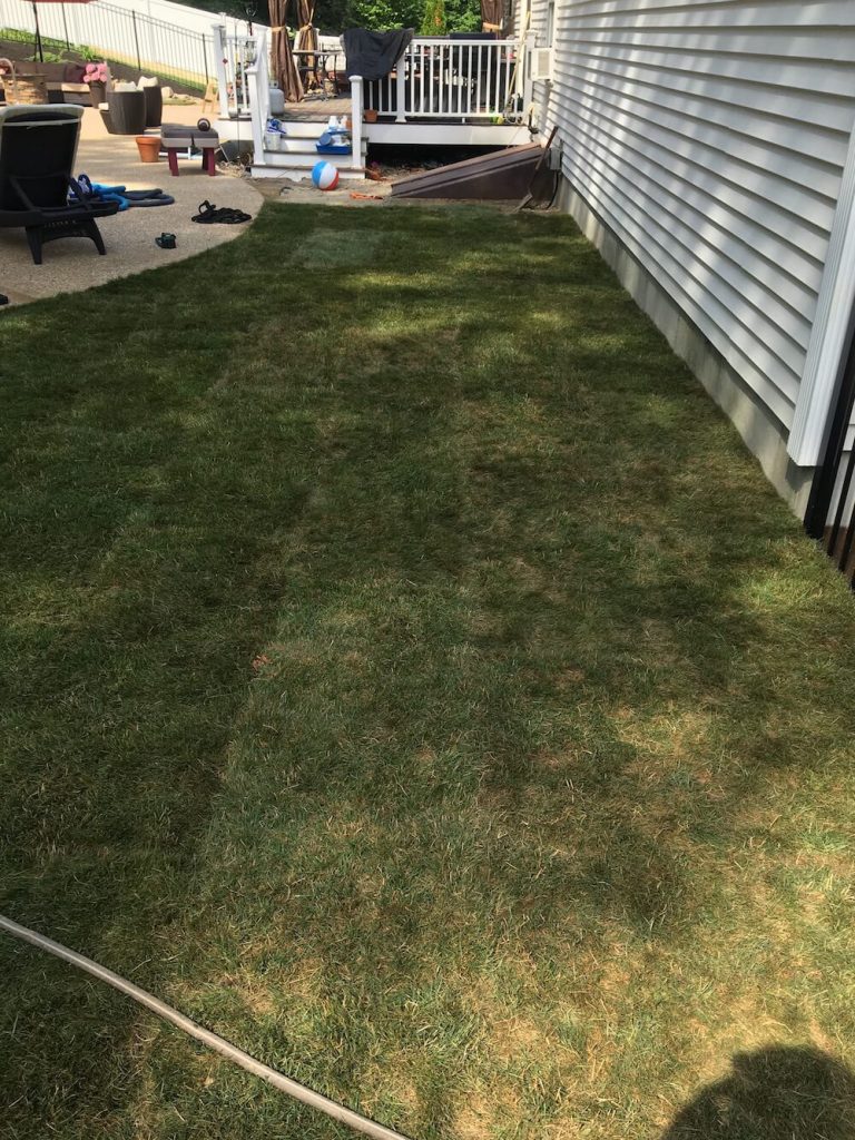 Side yard, sod instillation