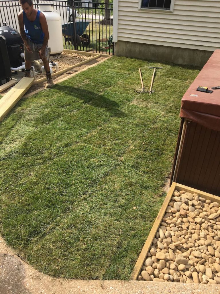 Sod instillation, walkway