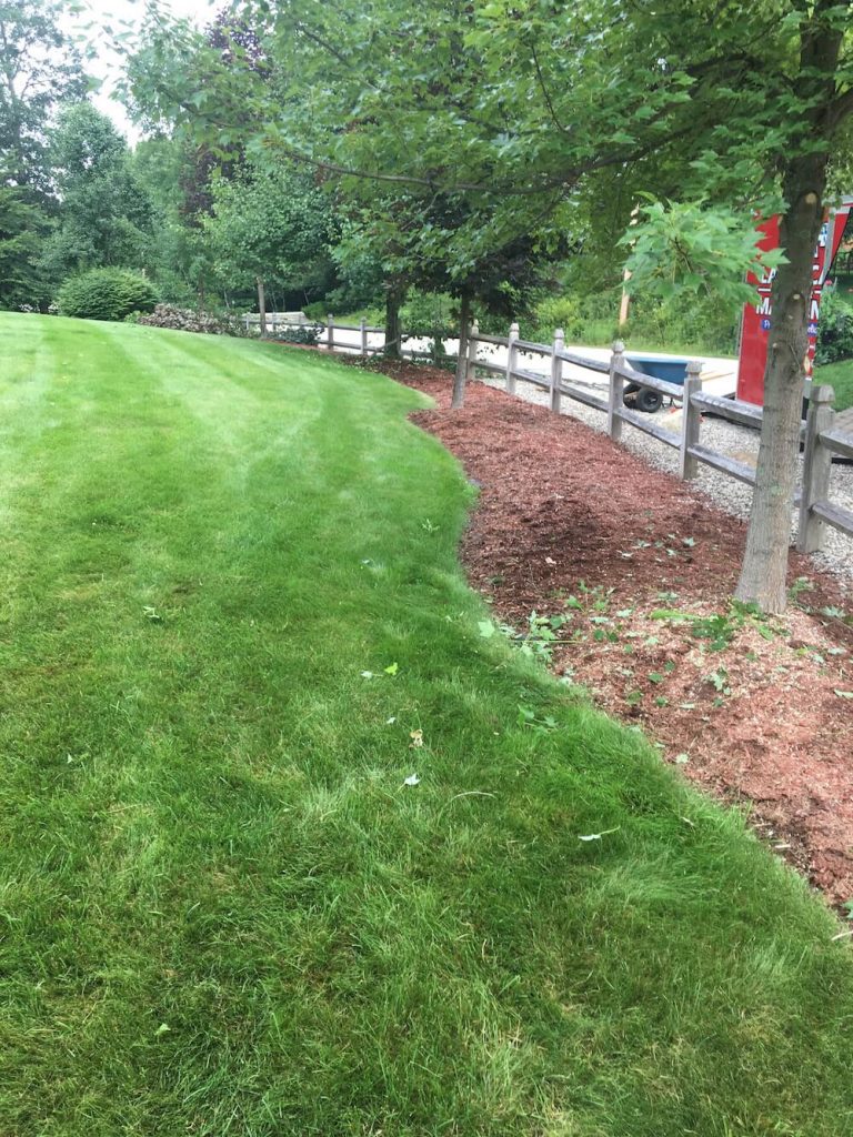 before front mulch