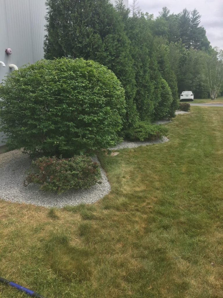 hedge trim and crushed stone instillation