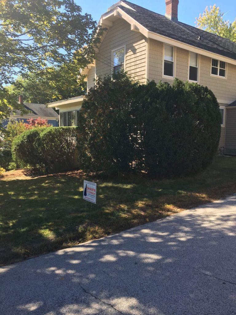 After hedge trim, manchester nh