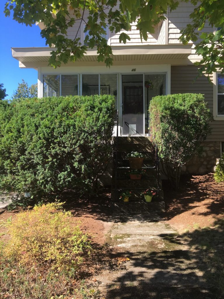 Manchester, front of house hedge, trim