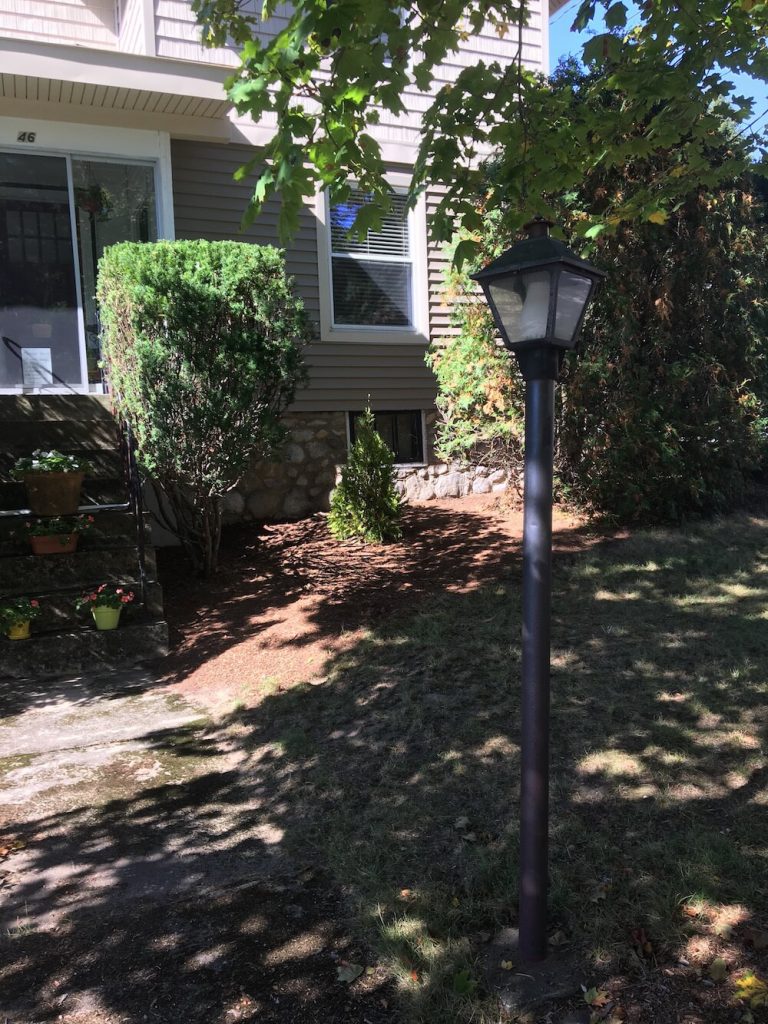 Plant Instillation, shrub, Manchester New Hampshire