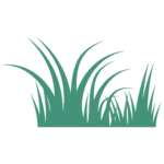Dethatching and Aerating