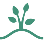 New Lawn Installation