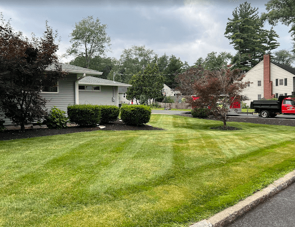 Manchester NH mowing