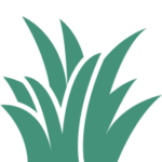 New Lawn Installation