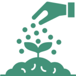 Sod_Seed Installation