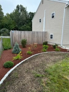 Manchester NH plant landscape design