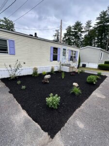 Manchester NH plant landscape design front yard