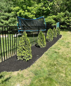 mulching Manchester NH