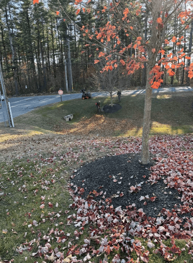 A Plus Landscaping - Hooksett NH - fall yard cleanup
